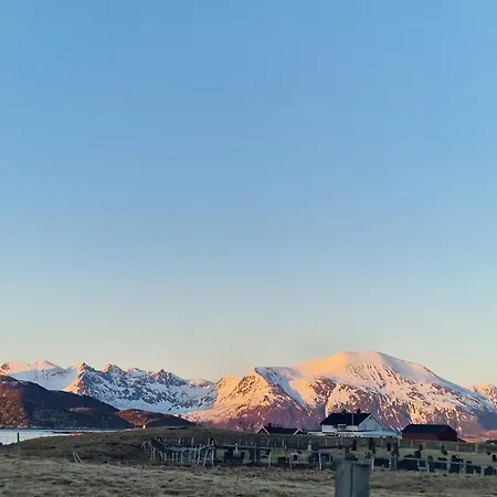 Close To The Centre * Tromsø